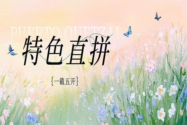 在线高清理伦片4399